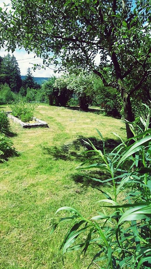 La Boissellerie Hotel Saulxures-sur-Moselotte Buitenkant foto