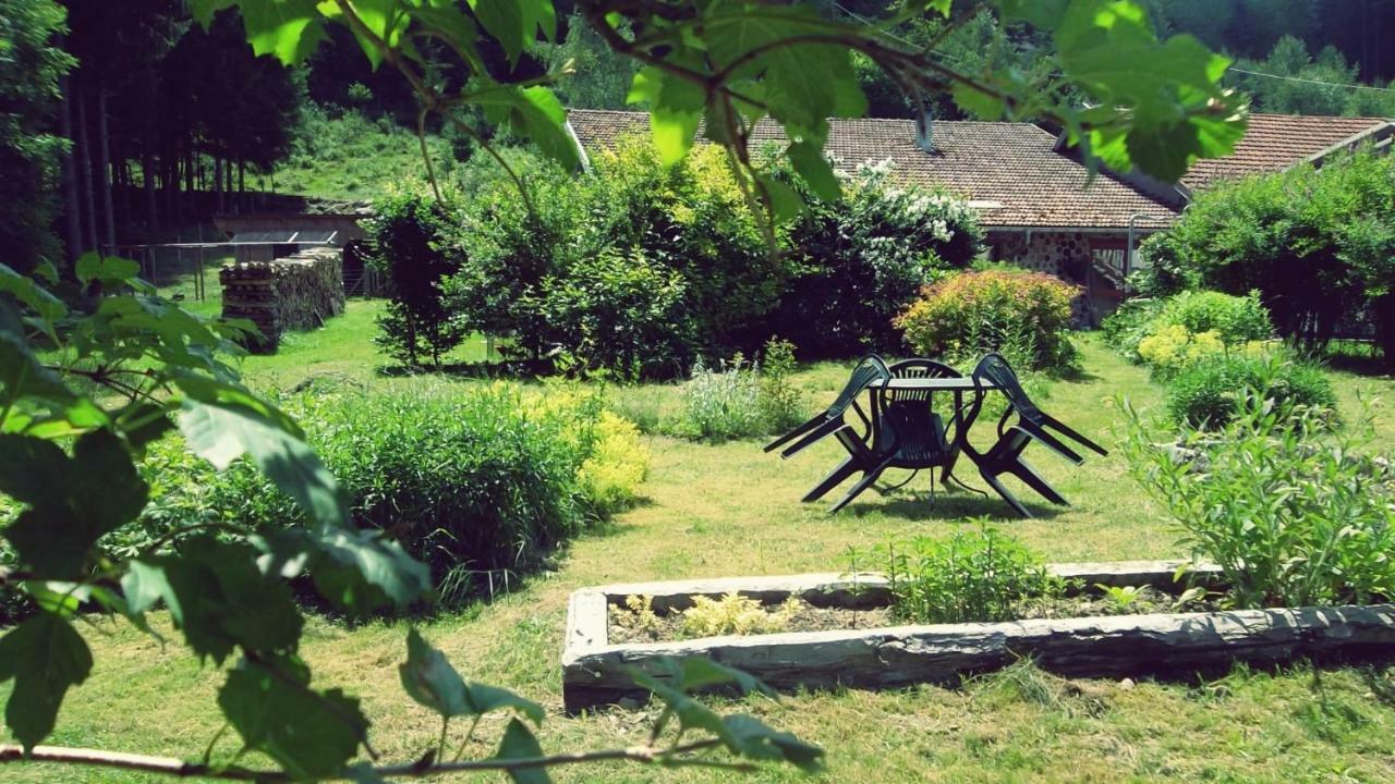La Boissellerie Hotel Saulxures-sur-Moselotte Buitenkant foto